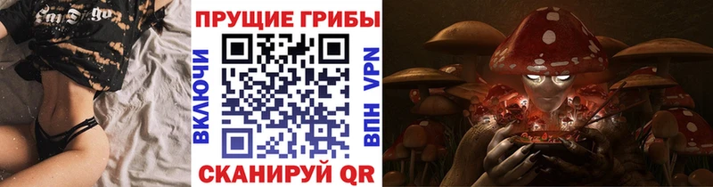 магазин hydra сайт Псилоцибиновые грибы прущие грибы Новый Оскол